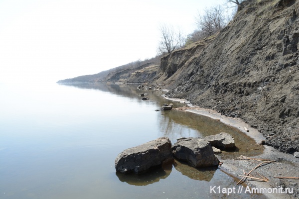 нижний мел, апт, нижний апт, Алексеевка