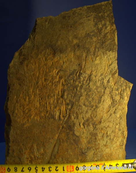 Ст.Барило-Крепинская