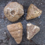 Губки "губкового горизонта"