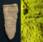 Губка овальная