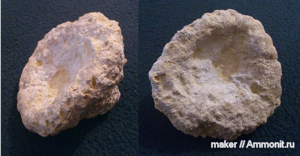 губки, берриас, Крым, Байдарская долина, Berriasian