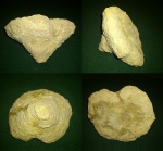 Губка грибовидной формы