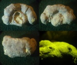 Губка - дурнушка