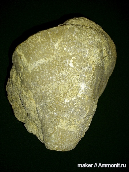 губки, берриас, Крым, Байдарская долина, Berriasian