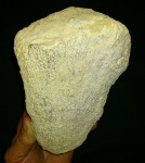 Губка. Большая