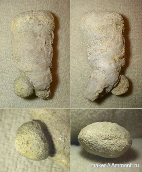 губки, берриас, Крым, Байдарская долина, Berriasian