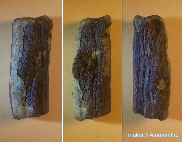 древесина, Крым, Байдарская долина