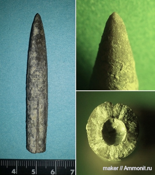 белемниты, Крым, Байдарская долина, belemnites