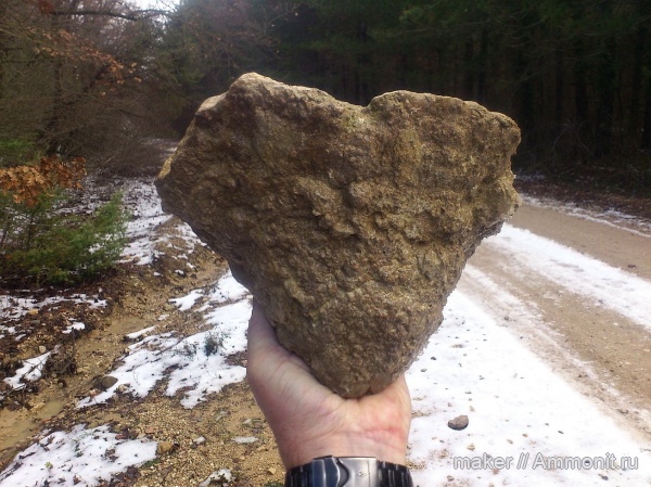 губки, берриас, Крым, Байдарская долина, Berriasian