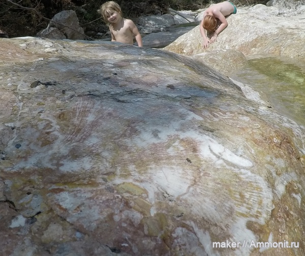 кораллы, Крым, Байдарская долина