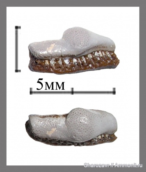 Другой карбон.
