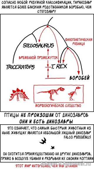 динозавры, птицы, юмор, позвоночные