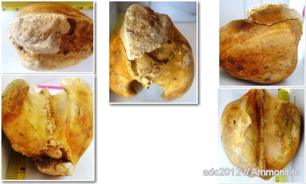 Харьковская область