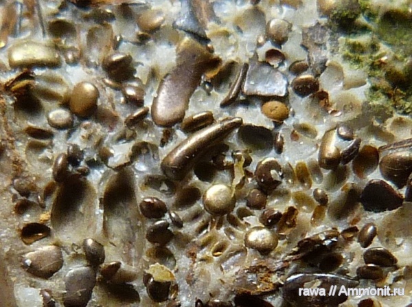 девон, Devonian, Семилуки