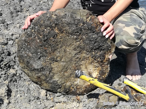 Самарская область