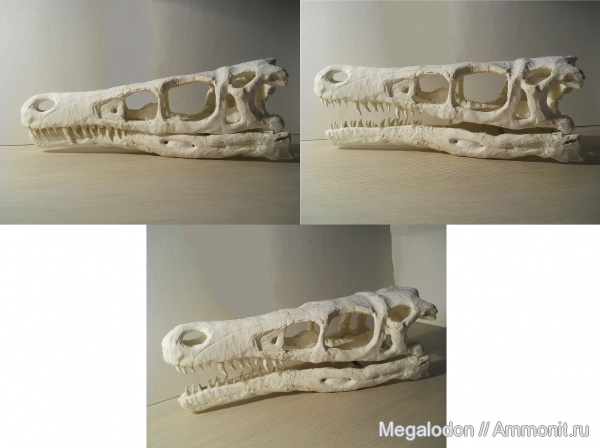 динозавры, мел, Монголия, Velociraptor, реконструкции, кампан, реплики, Velociraptor mongoliensis, Campanian, Cretaceous