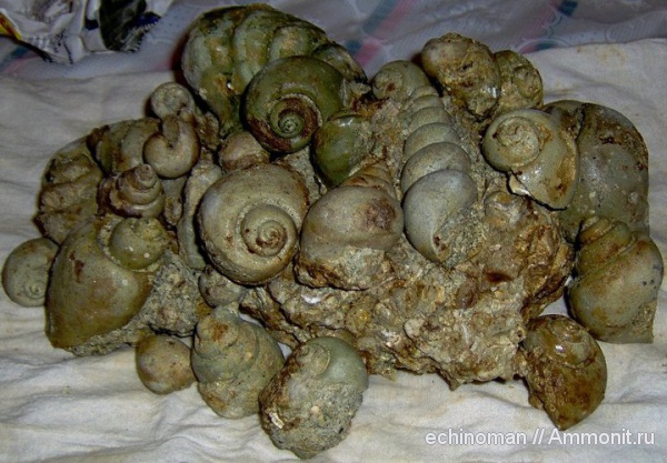 Болгария, Ипрес, Белослав