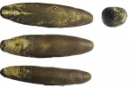 Hibolites