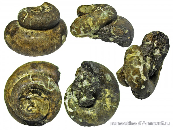 юра, Сызрань, Jurassic