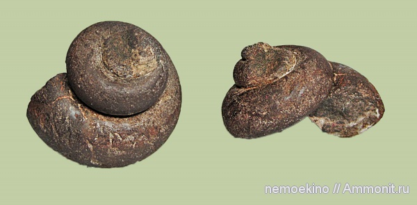 юра, Сызрань, Jurassic