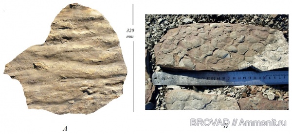 геология, знаки ряби, механоглифы