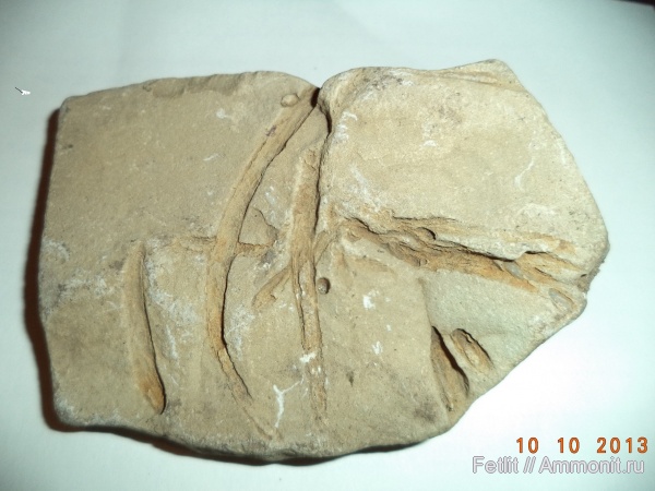 Семилуки,на поверхности