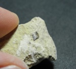 Чешуя Palaeonisciformes