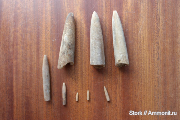 Находки летом 2012