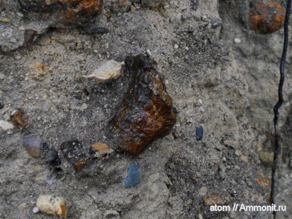 губки, Саратовская область