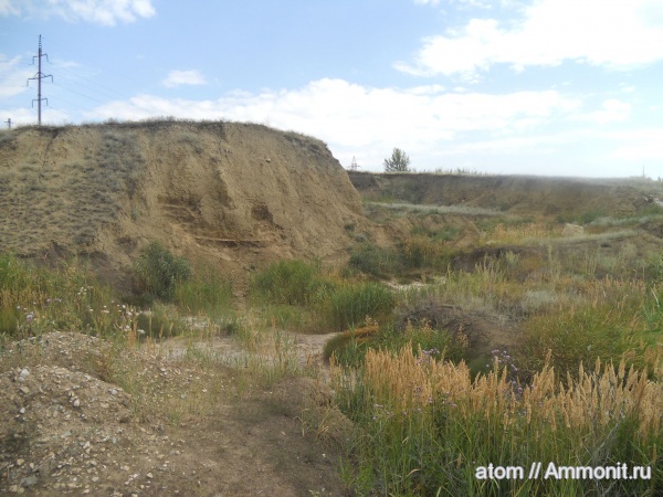Места находок