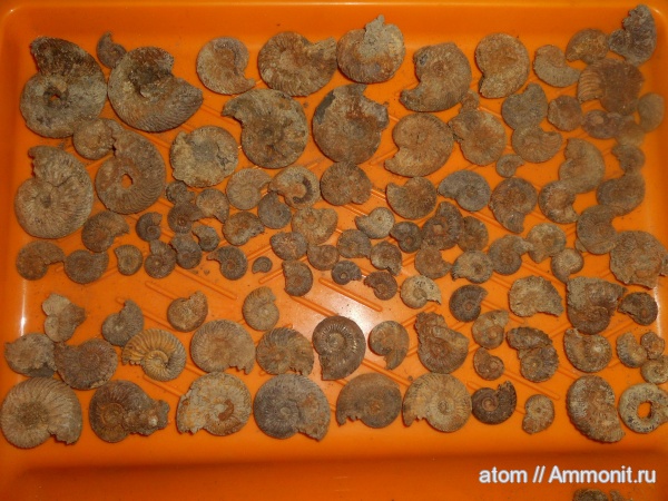 юра, Саратовская область, ТЭЦ-5, Jurassic