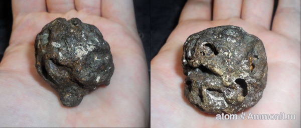 губки, Саратовская область