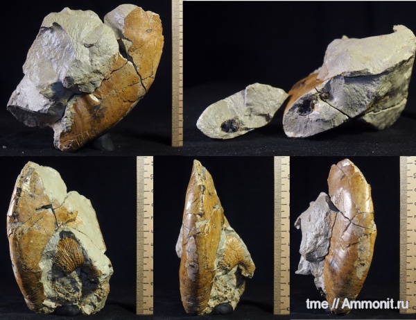 жилая камера