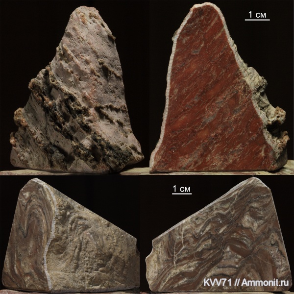 строматолиты, докембрий, Карелия