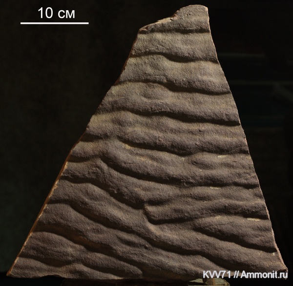 докембрий, Карелия, знаки ряби