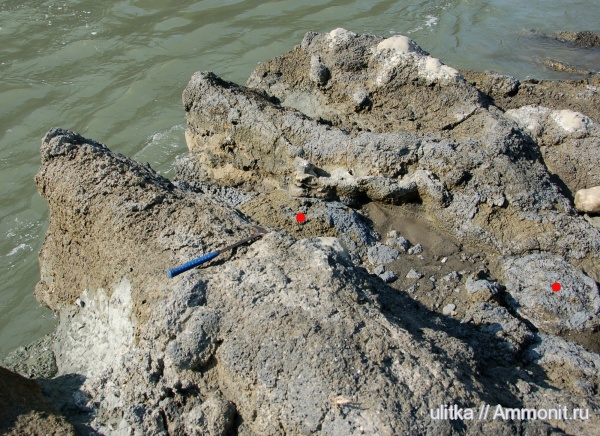 неоген, Чокрак, органогенные постройки, рельеф дна