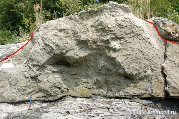 неоген, Чокрак, органогенные постройки