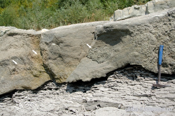 неоген, Чокрак, органогенные постройки