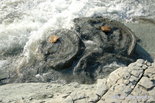 неоген, Чокрак, органогенные постройки