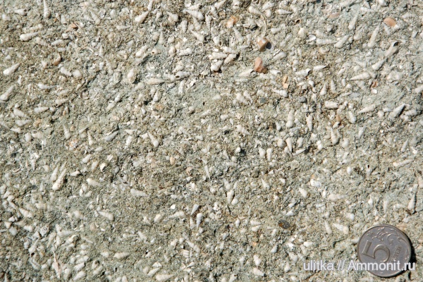 неоген, Чокрак