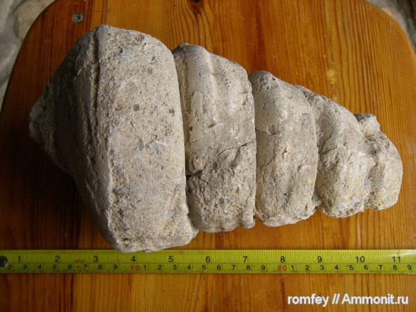 Болгария, Родопи планина, Родопы