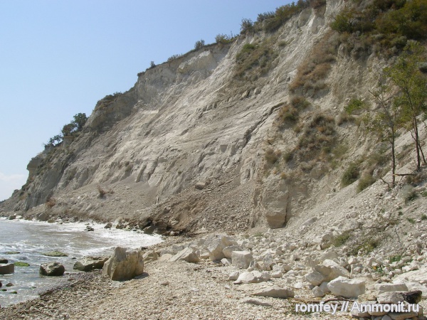 Черное море, Болгария