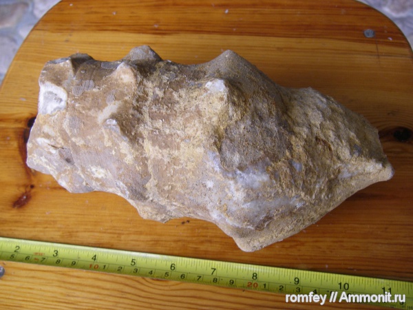 Болгария, Родопи планина, Родопы