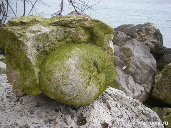 Черное море, Болгария