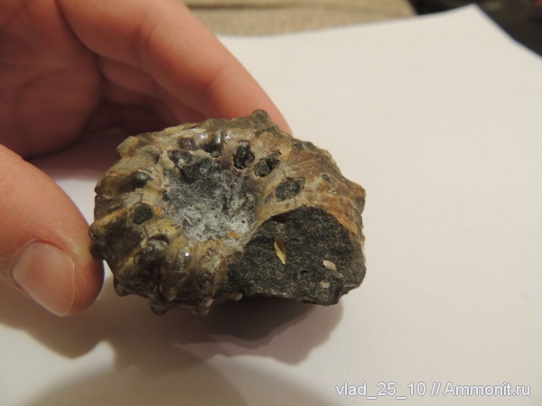 р. Белая, Краснодарский край