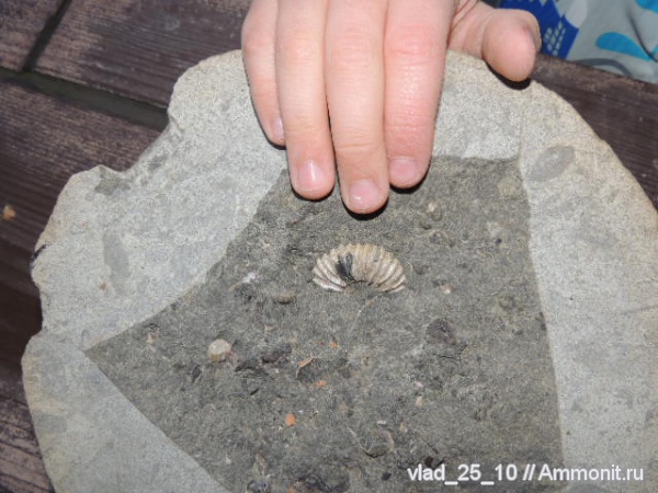 Адыгея, р. Белая