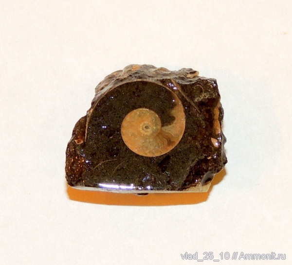 Адыгея, р. Белая