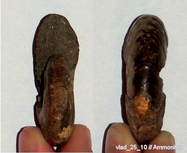 Адыгея, р. Белая