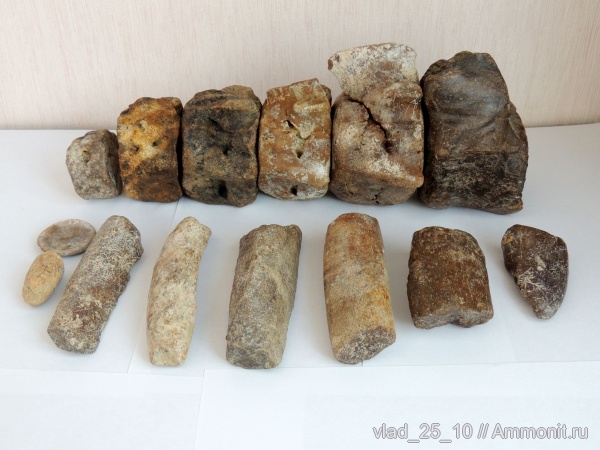 неоген, Cetotherium, р. Мокрый Апчас