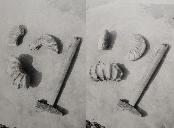 Полевые фотографии находок и др.